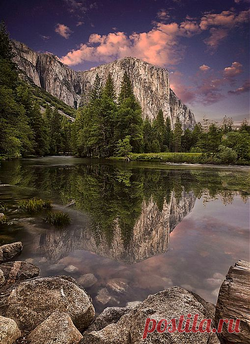 волшебный лес на берегу озера