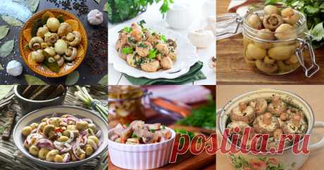 Маринованные шампиньоны домашние - 12 рецептов приготовления пошагово Маринованные шампиньоны домашние - быстрые и простые рецепты для дома на любой вкус: отзывы, время готовки, калории, супер-поиск, личная КК