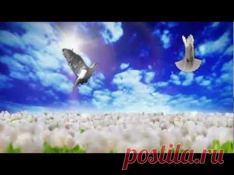 Е.Ваенга А.Малинин ДВЕ ДУШИ авт.Фотиния | ♥♬♥ Блог.Фотиния S ♥♬♬♥ Творческое видео | Группы Мой Мир