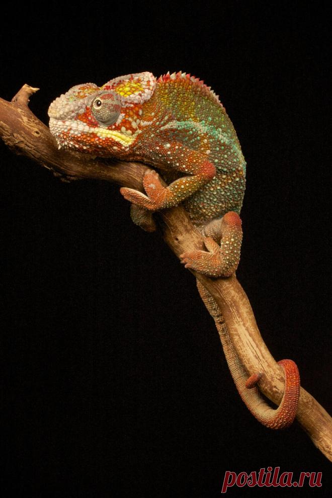 Artistic-realistic nature - 💙 IMG_1106 on 500px by Robert White-Adams,...