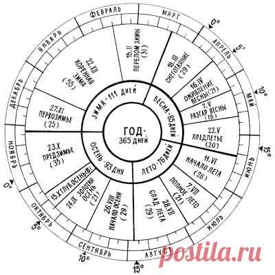 Болезни черной смородины и способы их лечения