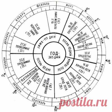Болезни черной смородины и способы их лечения