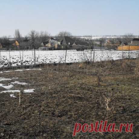 Управление влагой в процессе естественного плодородия