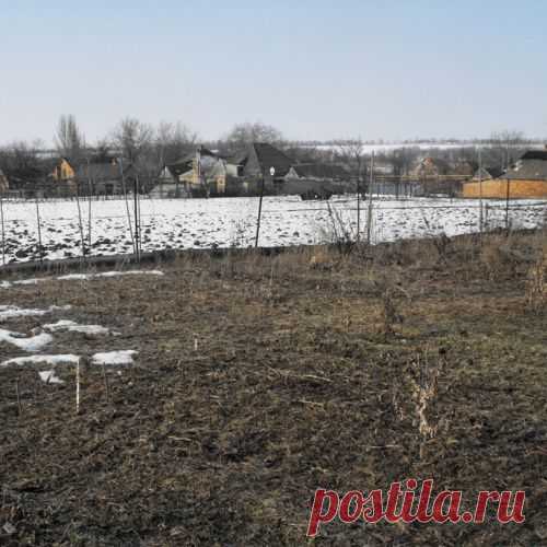 Управление влагой в процессе естественного плодородия