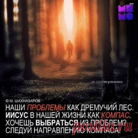 Виктория Репецкая
53 года, Украина, г.Киев
все её фото