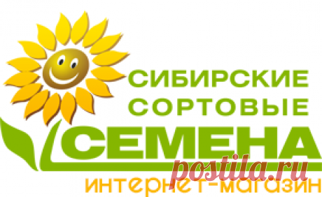 Сибирские Сортовые Семена / Тыква / Семена овощей