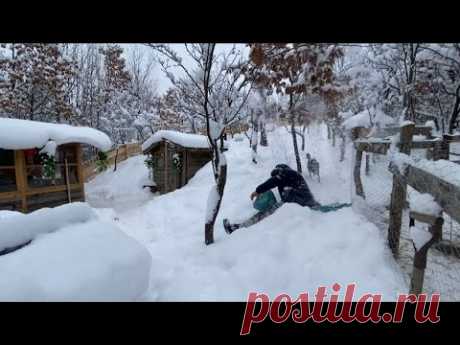 Горы — моя жизнь, животные — моя семья: Зима, игры и радость на снегу