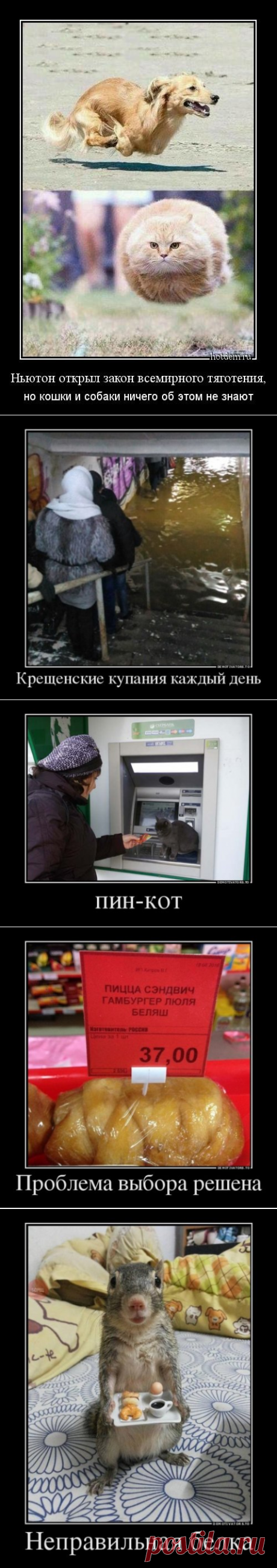 Новые и прикольные демотиваторы (13 шт)