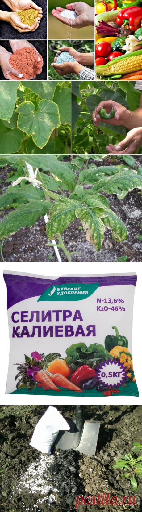 Калийные удобрения какими бывают и как применяются