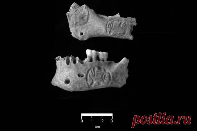 В гробнице майя найдены ужасающие черепа В Белизе при раскопках могилы древнего воина археологи обнаружили два трофейных черепа, изучение которых может пролить свет на причины краха некогда