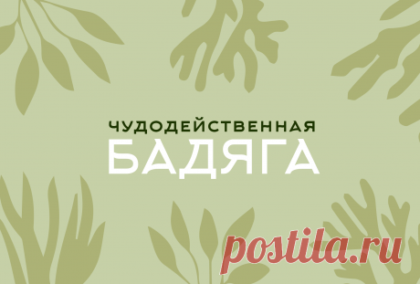 Бадяга: природное средство для здоровья и красоты
