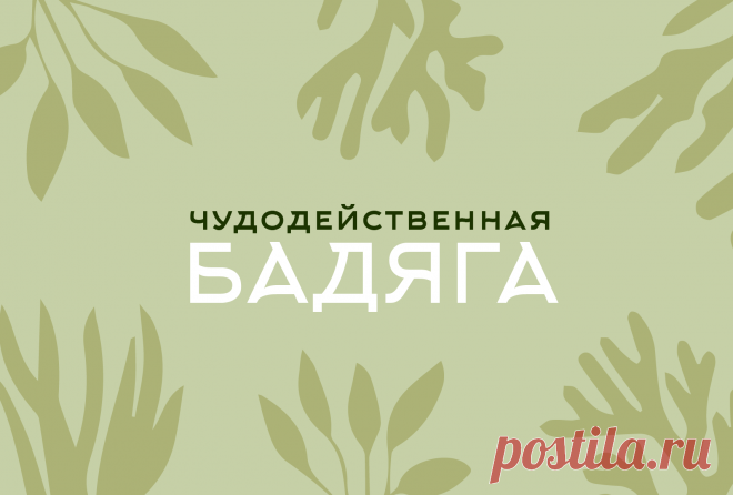 Бадяга: природное средство для здоровья и красоты