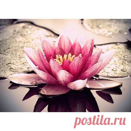 ~ ЧУДЕСА ЭНЕРГИТИЧЕСКОЙ ГИМНАСТИКИ~
Об этой гимнастике ходит легенда, что каждый, кто её делает уже через 5 минут способен творить чудеса, а если делает её регулярно, то молодеет 

Энергетическая гимнастика — это несколько простых упражнений, которые занимают около 5 минут. Их можно делать лёжа в постели или стоя. Однако их нельзя недооценивать.
Показать полностью…