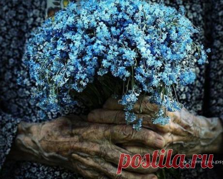 Проходя мимо...