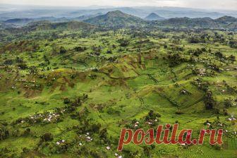 Вирунга, самый опасный парк на планете — National Geographic Россия