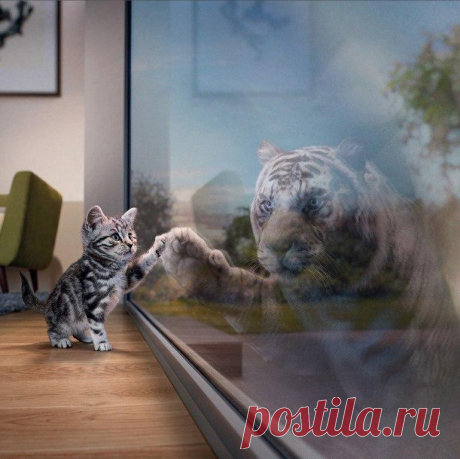 Позитивные и философские мысли, которые пригодятся каждому