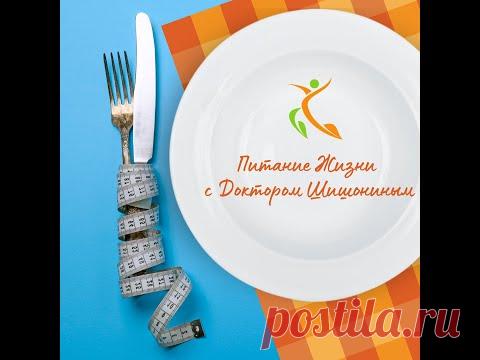 Вебинар по питанию доктора Шишонина А. Ю.