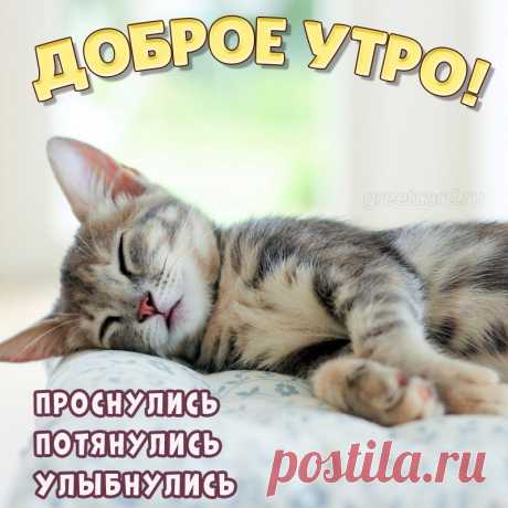 Просыпайся! С добрым утром!
Пусть начнётся новый день.
В эту светлую минуту
Прогони из мыслей тень.