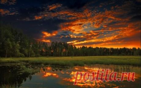 Картинки и цитаты