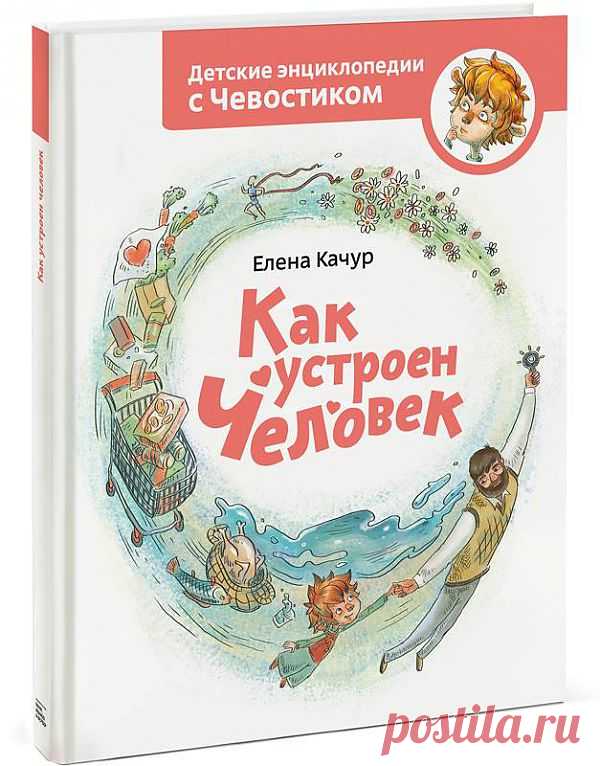 Как устроен человек