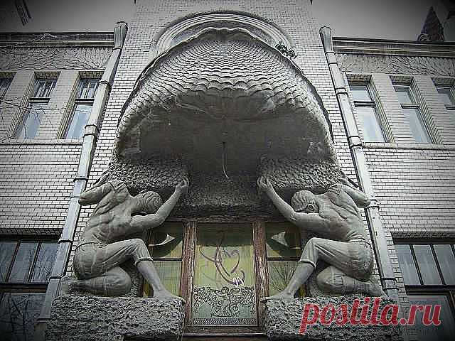 (55) Одноклассники
