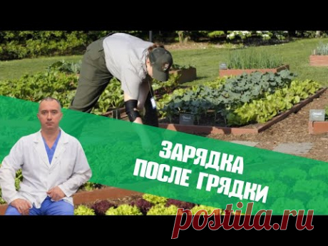 Зарядка после грядки с Доктором Шишониным. Ударные майские выходные!