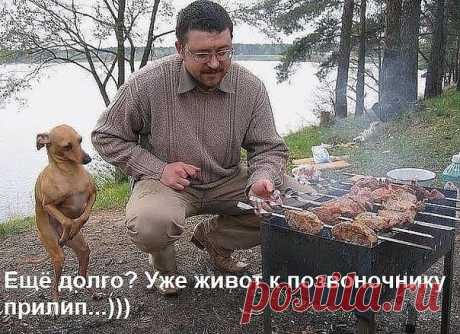 Немного юмора :)