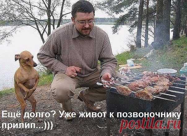 Немного юмора :)