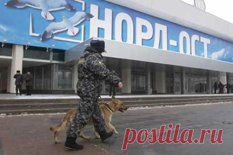 Заложница «Норд-Оста» указала на схожесть терактов на Дубровке и в «Крокусе». Ольга Бадсон-Черняк, выжившая при захвате заложников на мюзикле «Норд-Ост» в 2002 году, во время атаки террористов на «Крокус Сити Холл» в подробностях вспомнила события 22-летней давности. По ее словам, тогда люди также пытались скрыться от террористов в проходе, а нападающие беспорядочно стреляли по посетителям.
