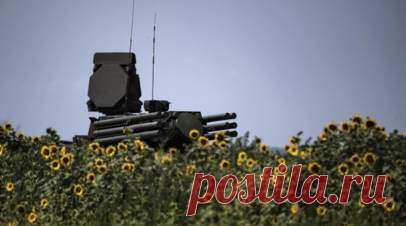 Силы ПВО сбили семь БПЛА ВСУ над Крымом, Белгородской и Нижегородской областями. Российские средства ПВО сбили семь украинских беспилотников над Крымом, Белгородской и Нижегородской областями, сообщает Минобороны России. Читать далее