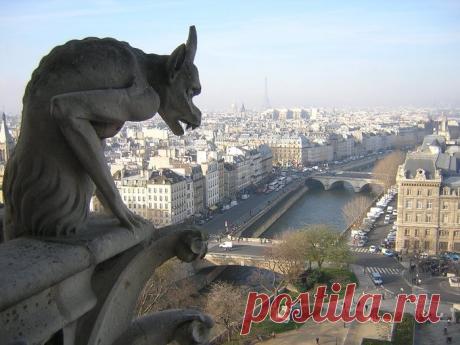 Собор Парижской Богоматери. Париж, Франция.