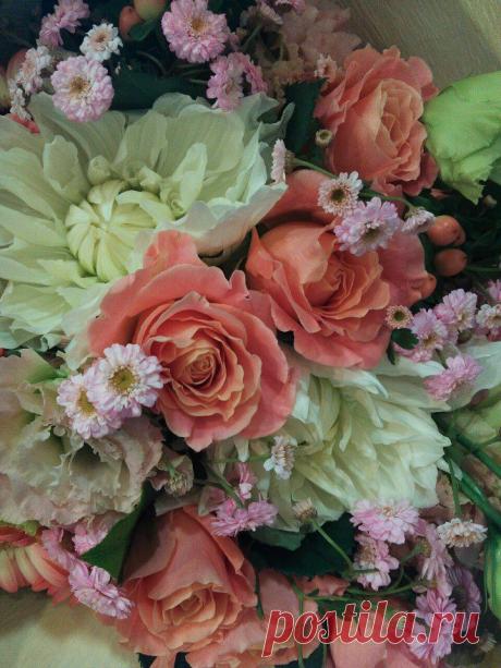 флористика