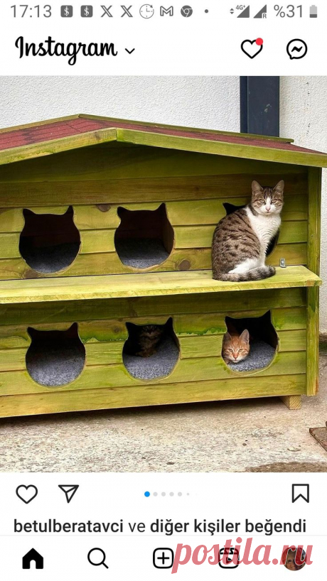 кошкин дом