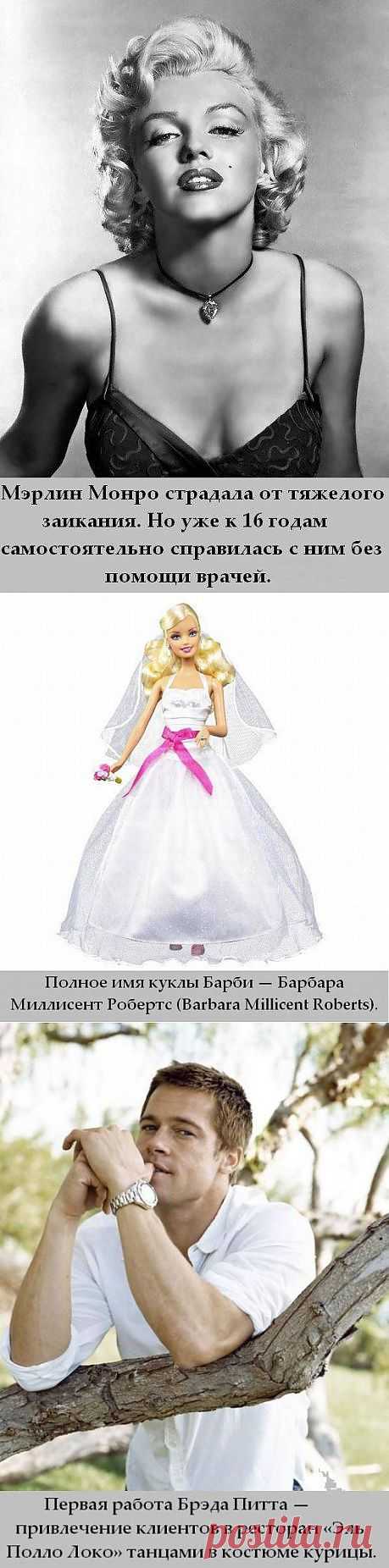 Интересные факты в картинках | КРАСОТА И ЗДОРОВЬЕ