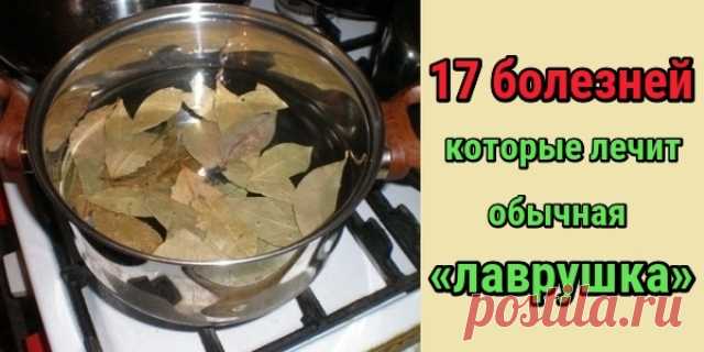 17 болезней, которые лечит обычная «лаврушка» Лавровый лист — настоящее лекарственное растение, которое с незапамятных времен применялось для лечения самых разных болезней. В статье вы найдете самые действенные народные рецепты с этим растением.