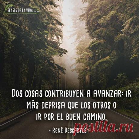 escuela de lideres frases - Buscar con Google