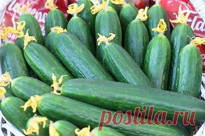 Мстившая мужу за измену россиянка поплатилась за огурец во влагалище