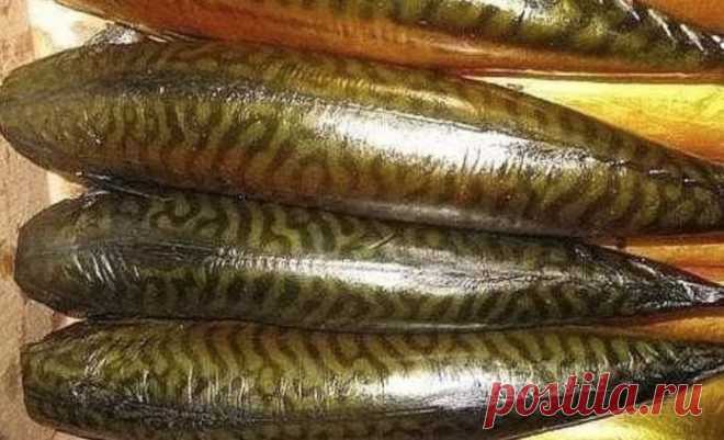 Такая рыбка точно по вкусу: Скумбрия холодного копчения