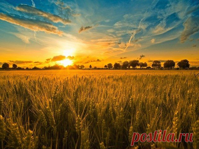 10 неожиданных фактов о летнем солнцестоянии / Научный хит