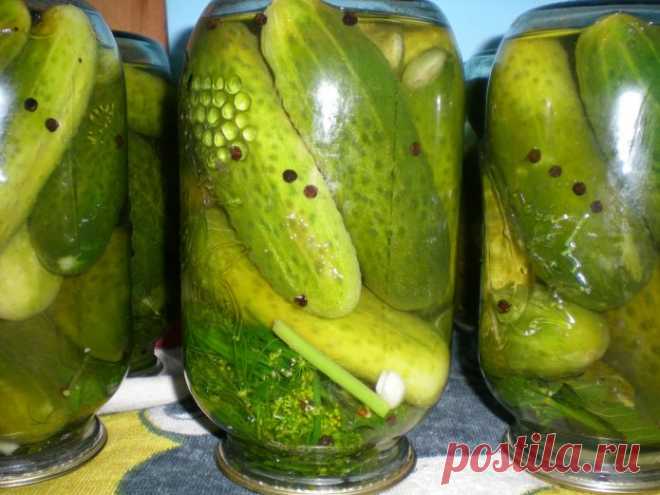 Простой рецепт вкусных солёных огурцов: видео Предлагаем вам несложный рецепт солёных огурцов, который гарантирует, что плоды получатся очень вкусными.