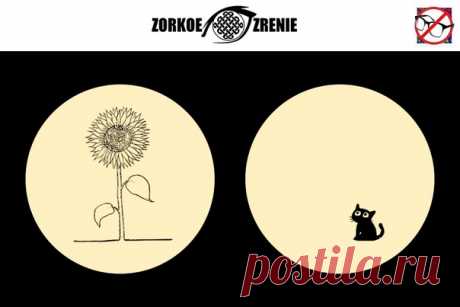 ⌘ ЗАРЯДКА ДЛЯ ГЛАЗ ⌘

Посади котенка под подсолнух!

Перед вами одно из сильнейших упражнений для тренировки зрительной системой и осознанного управления мышцами глаз.
Показать полностью...