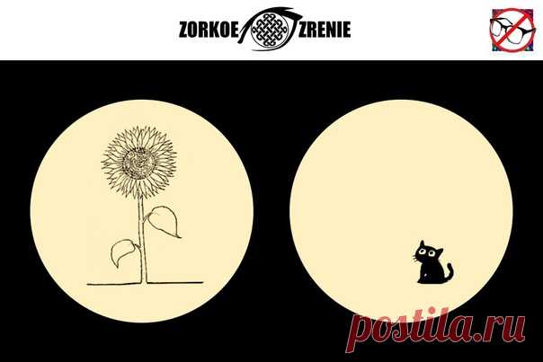 ⌘ ЗАРЯДКА ДЛЯ ГЛАЗ ⌘

Посади котенка под подсолнух!

Перед вами одно из сильнейших упражнений для тренировки зрительной системой и осознанного управления мышцами глаз.
Показать полностью...