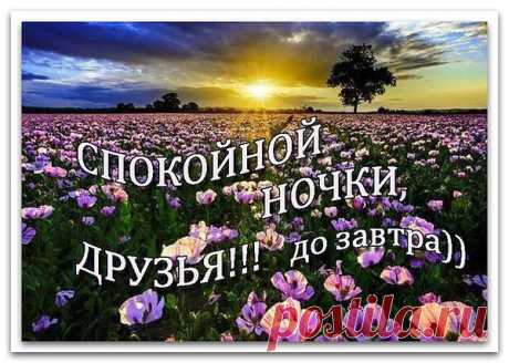 СПОКОЙНОЙ НОЧИ, ДРУЗЬЯ!
Пусть спокойным будет сон,
И ничто не тревожит.
Как река, течет пусть он.
Сил придаст он, сколько сможет.
Очень легким будет пусть.
Или сказочно-волшебным.
Не тревожит сердце грусть,
А еще пусть будет нежным