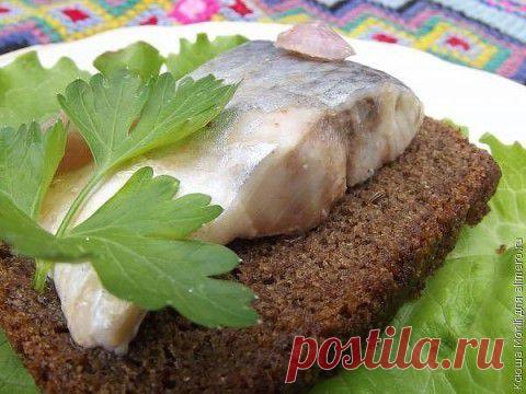 Домашняя селёдка в томатном соке