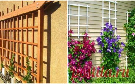 Удобная и красивая конструкция для вьющихся растений — Схема и Мастер-Класс – В РИТМІ ЖИТТЯ