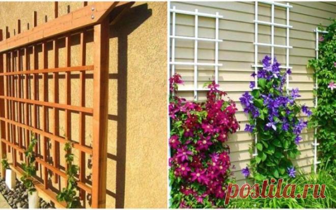 Удобная и красивая конструкция для вьющихся растений — Схема и Мастер-Класс – В РИТМІ ЖИТТЯ