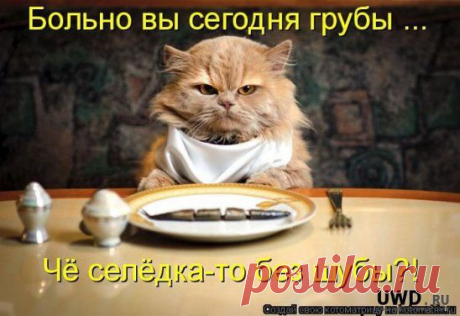 Одноклассники