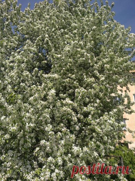 весеннее настроение