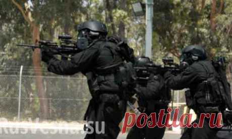 Сборище калек и клоунов. Полевые учения киевского «SWAT» взорвали Украину (видео) | Кто есть кто