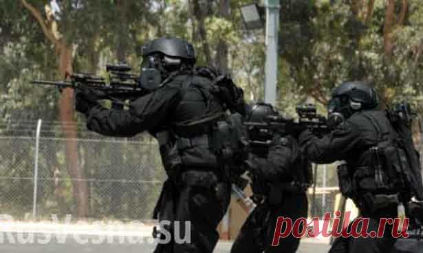 Сборище калек и клоунов. Полевые учения киевского «SWAT» взорвали Украину (видео) | Кто есть кто